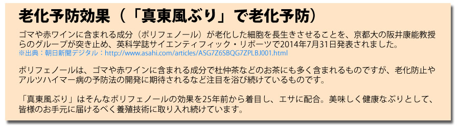 学術的にも証明されているポリフェノール効果に着目した養殖を実践。