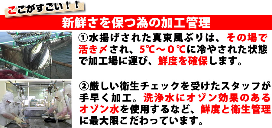 真東風ぶりは、新鮮さを保つ為の加工管理も抜群。