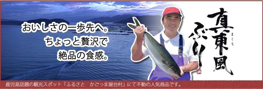 美味しさの一歩先へ。ちょっと贅沢で絶品の食感。真東風ぶり