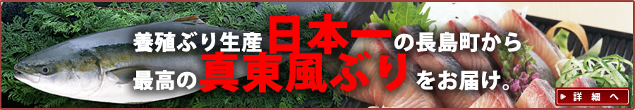 養殖ぶり日本一の長島町から、最高の真東風ぶりをお届け